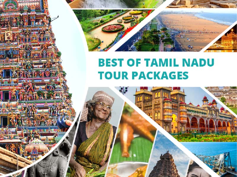 Affordable local taxis Dindigul